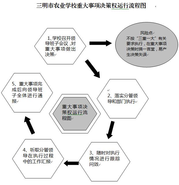 开云(中国)Kaiyun·官方网站重大事项决策权运行流程图.JPG