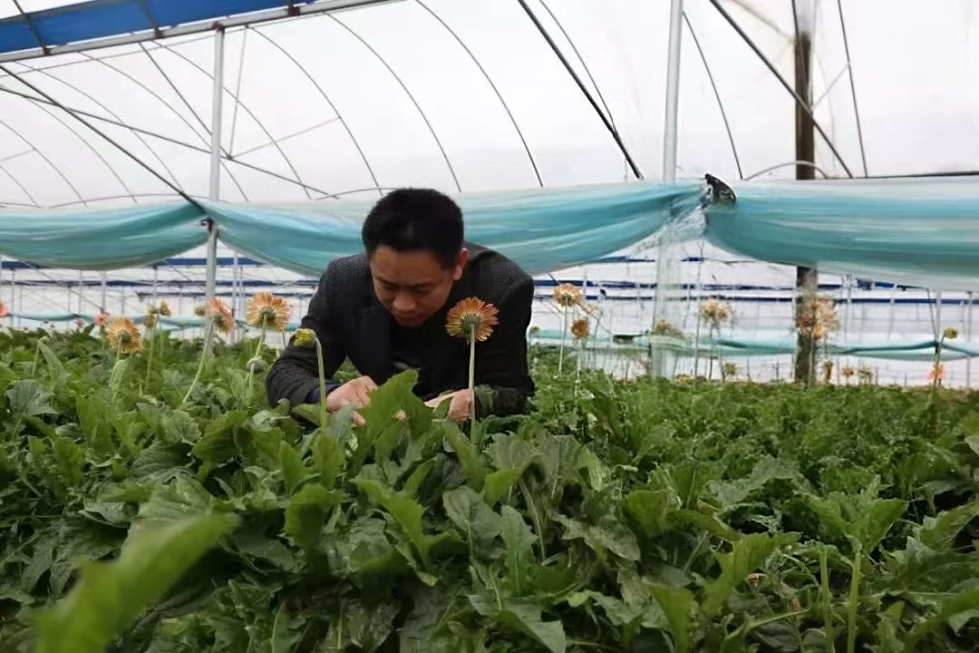 1761742102937620.png 1761742102937620.png